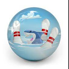 Team Page: CSE Spare Sharks